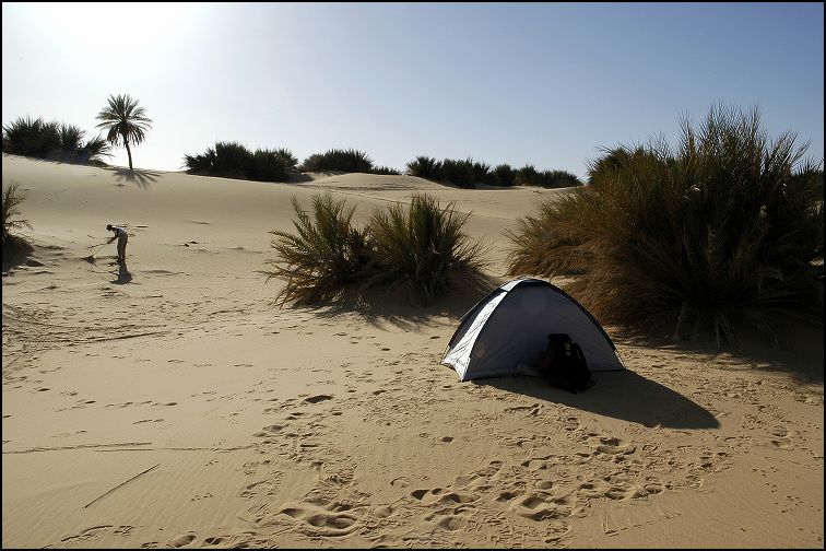 Campement dans un écrin de sable et de verdure.